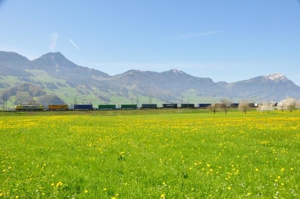 Alpine train